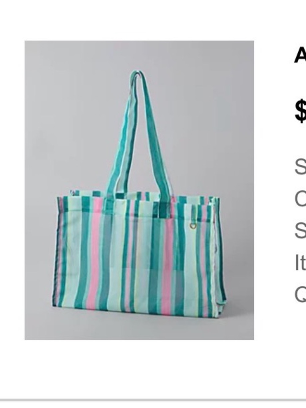 American Eagle Outfitters Striped Mesh Tote Bag - Turquoise & Pink